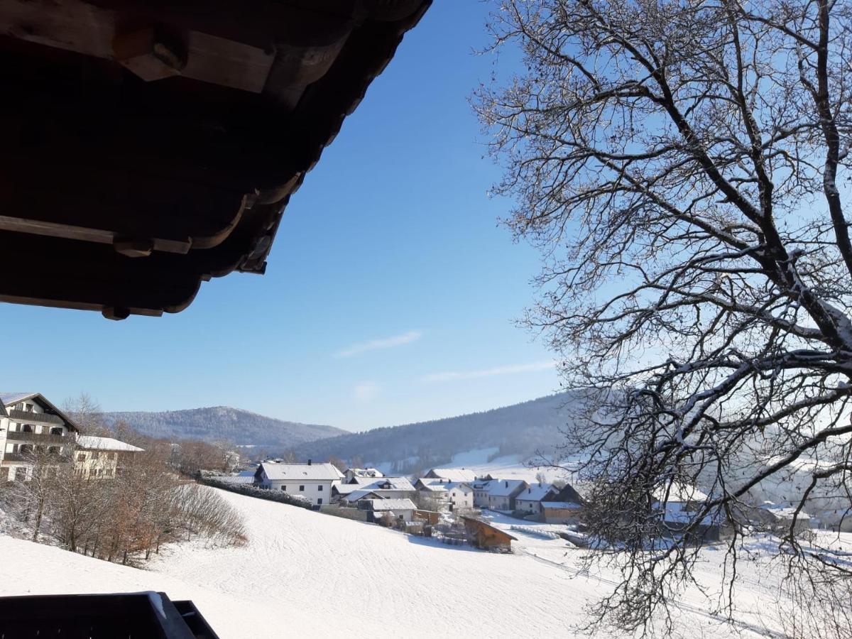 Ferienwohnung Freudensee Im Bayerischen Wald - Pool, Sauna Hauzenberg Kültér fotó